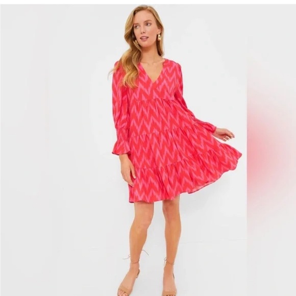 Pomander Place Hot Pink Ikat Kenzo Dress - Picture 10 of 10